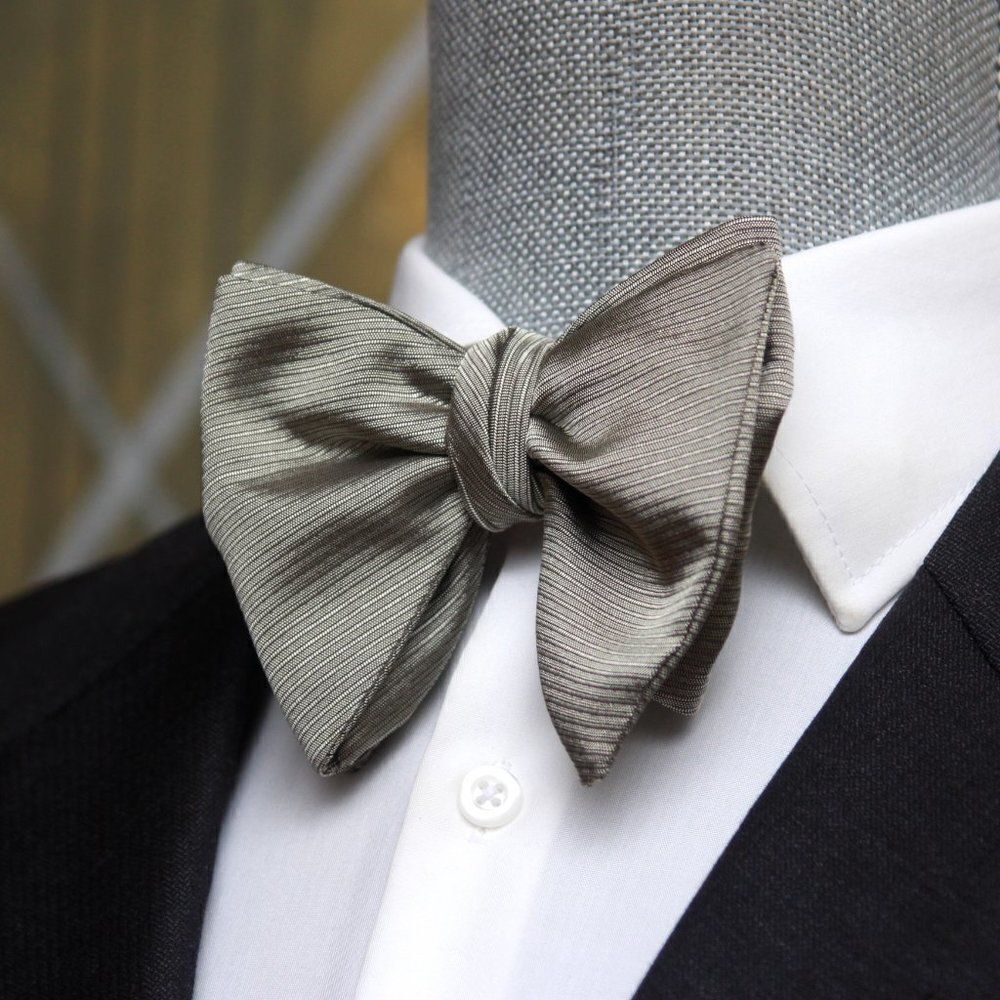 NWT‎ Men's Self-tied Bow Tie Silk big Butterfly Bowtie S673